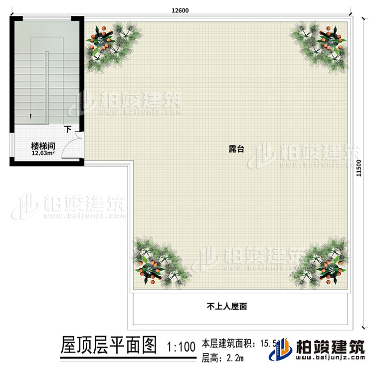 房頂：樓梯間、露臺