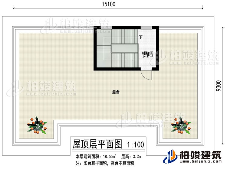 屋頂：樓梯間、露臺